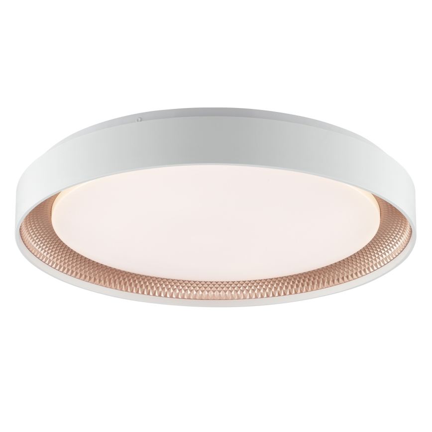 Brilliant - LED-himmennettävä kattovalaisin WALDO LED/36W/230V 3000-6500K halkaisija 48,5 cm valkoinen/ruusukulta + kaukosäädin