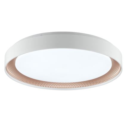 Brilliant - LED-himmennettävä kattovalaisin WALDO LED/36W/230V 3000-6500K halkaisija 48,5 cm valkoinen/ruusukulta + kaukosäädin