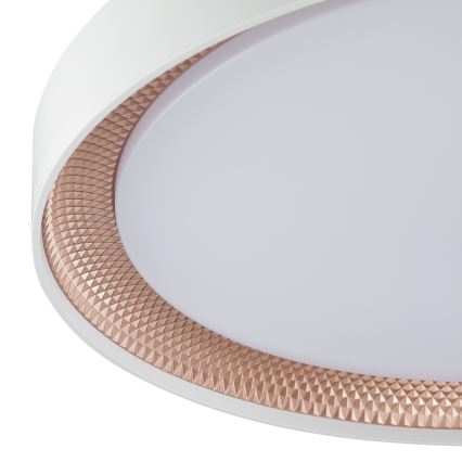 Brilliant - LED-himmennettävä kattovalaisin WALDO LED/36W/230V 3000-6500K halkaisija 48,5 cm valkoinen/ruusukulta + kaukosäädin