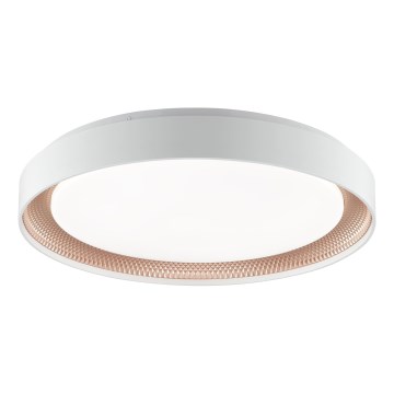 Brilliant - LED-himmennettävä kattovalaisin WALDO LED/36W/230V 3000-6500K halkaisija 48,5 cm valkoinen/ruusukulta + kaukosäädin