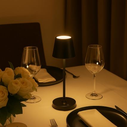 Brilliant - LED himmennettävä ladattava kosketuksella ohjattava ulkokäyttöinen pöytälamppu ELORA LED/2,5W/5V 2700K 2600 mAh IP44 musta