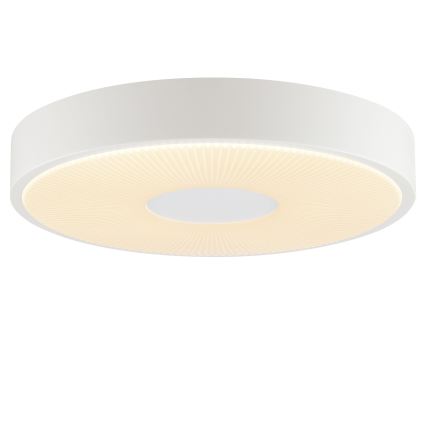 Brilliant - LED-kattovalaisin RAKIN LED/18W/230V Ø 33,5 cm valkoinen