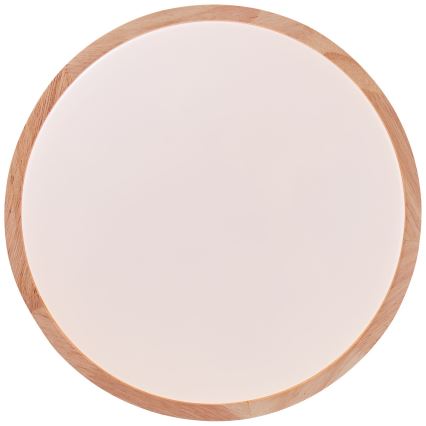 Brilliant - LED-kattovalaisin SLIMLINE LED/14W/230V 3000/4000K kumiviikuna