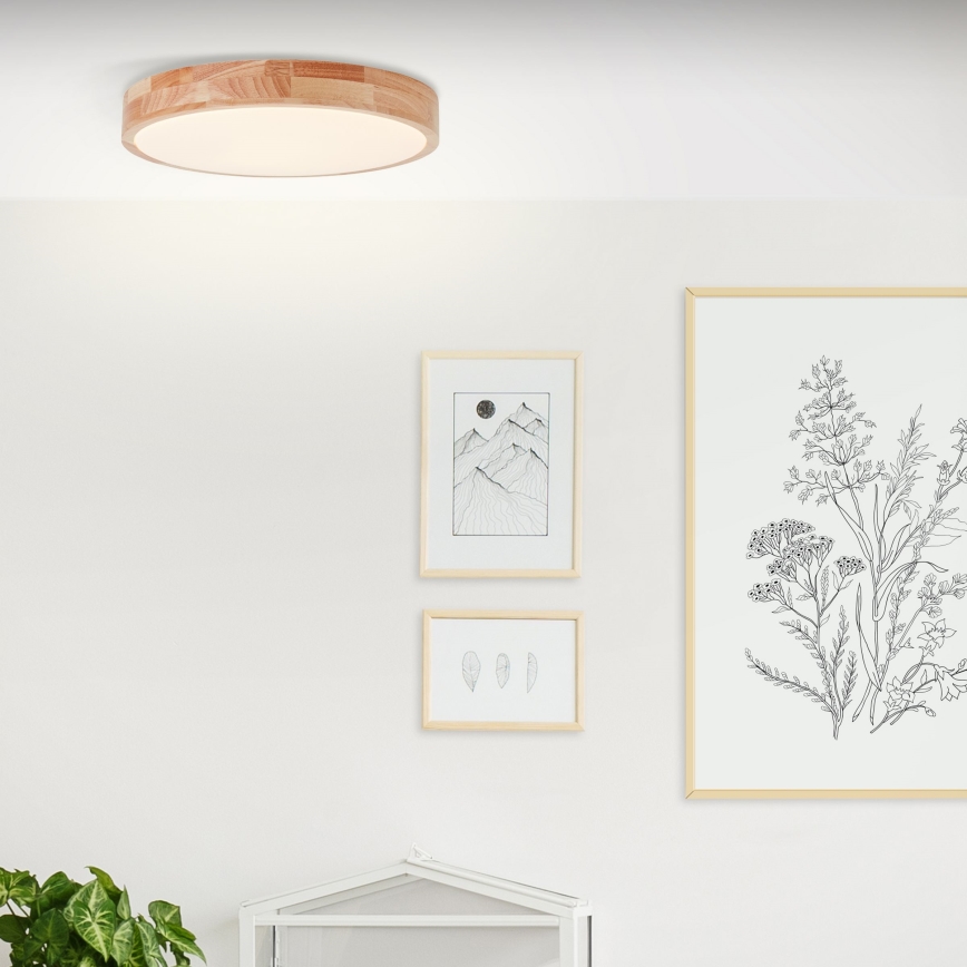Brilliant - LED-kattovalaisin SLIMLINE LED/22W/230V halkaisija 39 cm kumipuu