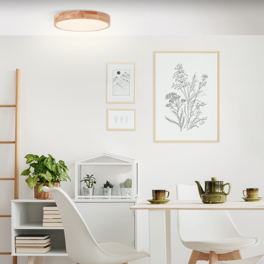 Brilliant - LED-kattovalaisin SLIMLINE LED/22W/230V halkaisija 39 cm kumipuu