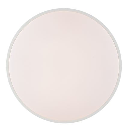 Brilliant - LED-kattovalaisin SOLISTRA LED/36W/230V, halkaisija 54 cm, valkoinen