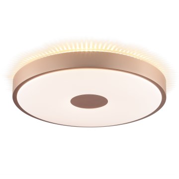 Brilliant - LED-kattovalaisin TAVIS LED/24W/230V, halkaisija 44,5 cm, ruusukulta