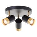 Brilliant - LED-kohdevalaisin VIGOLO 3xGU10/5W/230V musta/kultainen