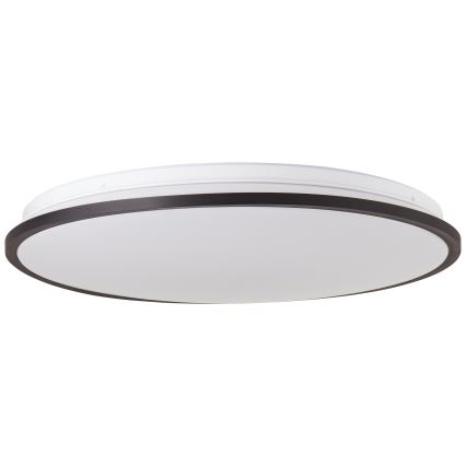 Brilliant - LED RGBW Himmennettävä kattovalo HEIDA LED/30W/230V 3000-6500K + kauko-ohjaus