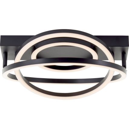 Brilliant - PEDLEY LED/36W/230V himmennettävä kattovalaisin, musta