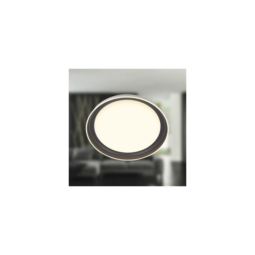 Brilo - IJUS LED-kattovalaisin 24 W, 230 V, 3000 K, Ø 43 cm