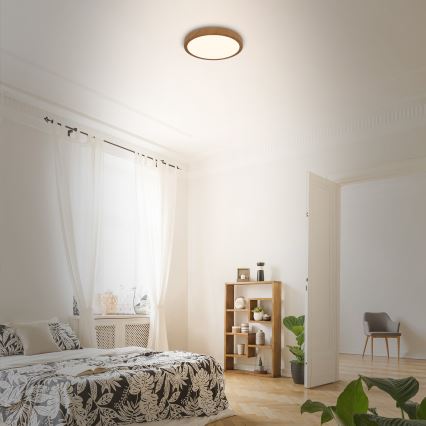 Brilo - LED-kattovalaisin RUNA LED/12W/230V