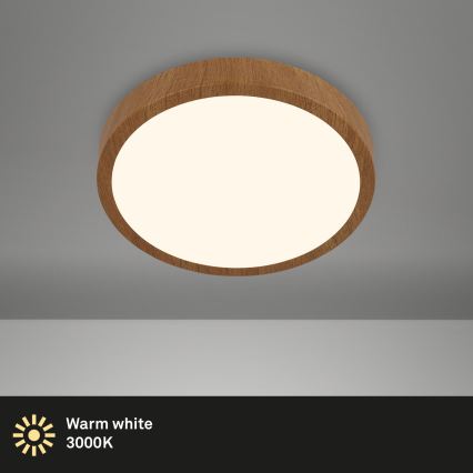 Brilo - LED-kattovalaisin RUNA LED/12W/230V