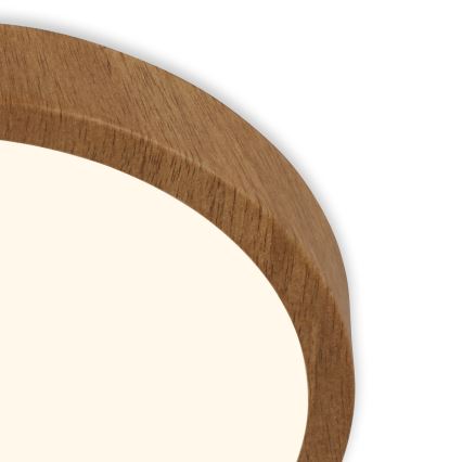 Brilo - LED-kattovalaisin RUNA LED/12W/230V