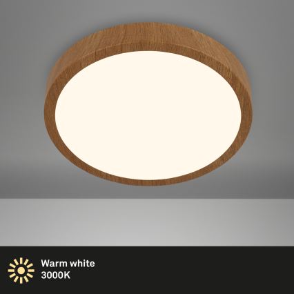 Brilo - LED-kattovalaisin RUNA LED/24W/230V