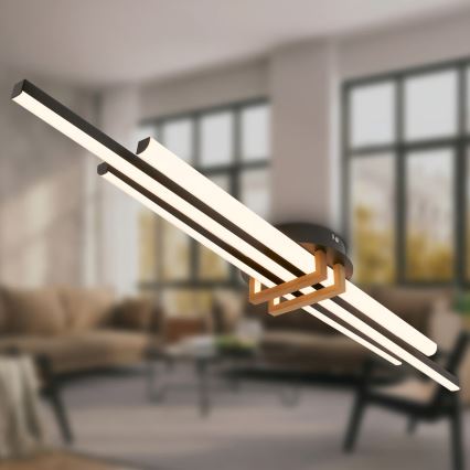 Brilo - LED-kattovalaisin TINKA 30W/230V 3000K musta