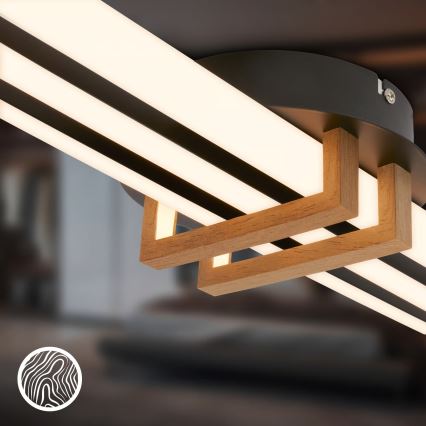 Brilo - LED-kattovalaisin TINKA 30W/230V 3000K musta