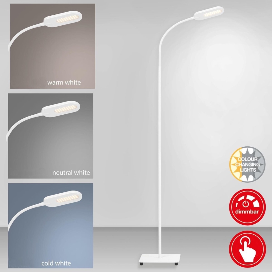 Briloner 1297-016 - LED Himmennettävä kosketus lattialamppu LED/8W/230V 3000/4000/6000K