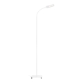 Briloner 1297-016 - LED Himmennettävä kosketus lattialamppu LED/8W/230V 3000/4000/6000K