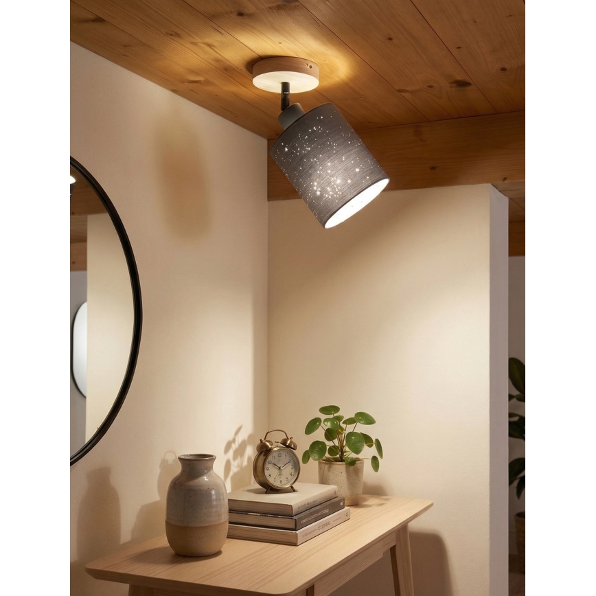 Briloner 2078-011 - Seinäkohdevalo SPOTLIGHT 1xE27/25W/230V beige