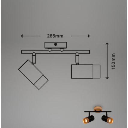 Briloner 2144025 - Kohdevalo SPOT 2xGU10/9W/230V