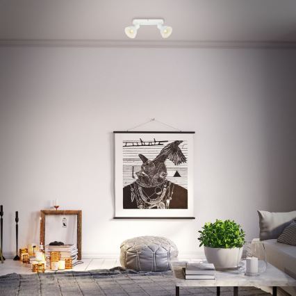 Briloner 2674-026 - Kohdevalo RETRO 2xE14/25W/230V valkoinen