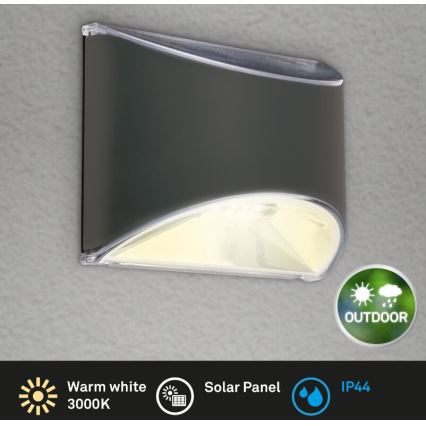 Briloner 3133015 - LED-aurinkoseinävalaisin LED/2W/3,7V IP44 3000K 300 mAh