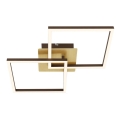 Briloner 3210-017 - LED himmennettävä kattovalaisin FRAME 2xLED/11W/230V kulta