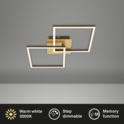 Briloner 3210-017 - LED himmennettävä kattovalaisin FRAME 2xLED/11W/230V kulta