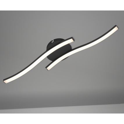 Briloner 3449-015 - LED Pinta-asetettava kattokruunu GO 2xLED/6W/230V