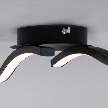 Briloner 3449-015 - LED Pinta-asetettava kattokruunu GO 2xLED/6W/230V