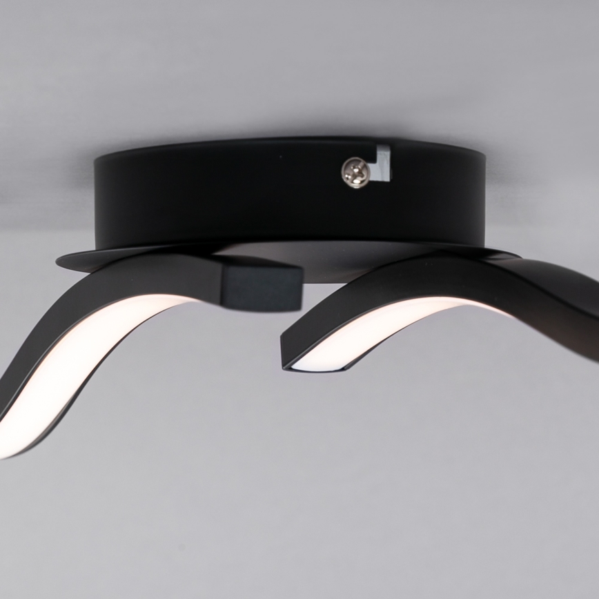 Briloner 3449-015 - LED Pinta-asetettava kattokruunu GO 2xLED/6W/230V