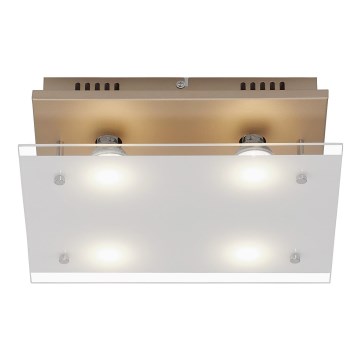 Briloner 3586-047 - LED-kattovalaisin SMART GOLD 4xGU10/4W/230V