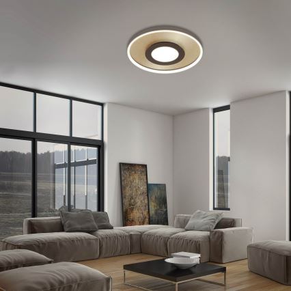 Briloner 3640017 - LED himmennettävä kattovalaisin FRAME LED/25W/230V 2700-6500K + kaukosäädin
