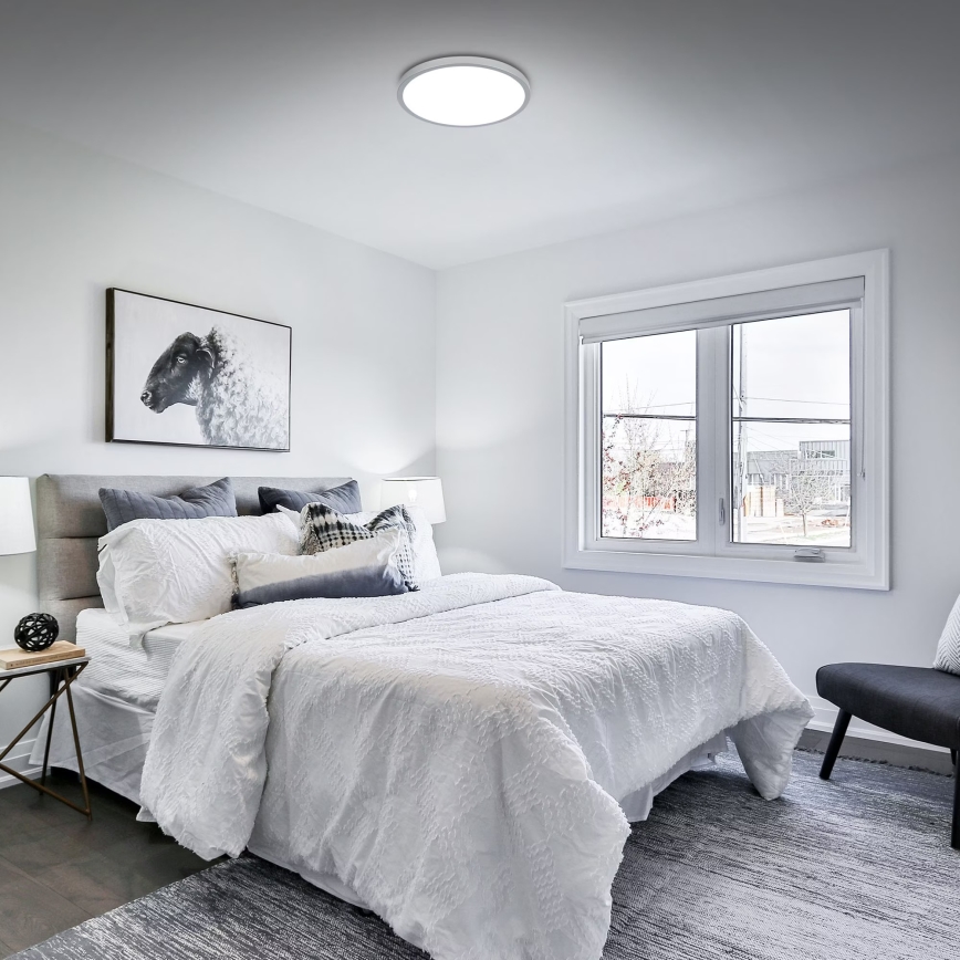 Briloner 3709-014 - LED RGBW Himmennettävä kattovalo LED/22W/230V 4000K halkaisija 38 cm hopea + kauko-ohjaus