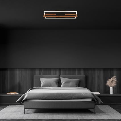 Briloner 3777-015 - LED-kattovalaisin FRAME LED/21W/230V 3000K musta