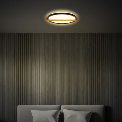 Briloner 3844015 - LED-kattovalaisin, 18 W, 230 V, Ø 31,5 cm