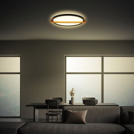 Briloner 3844015 - LED-kattovalaisin, 18 W, 230 V, Ø 31,5 cm