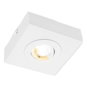 Briloner 3996016 - LED-kohdevalaisin CTS LED/4W/230V 2700/4000K valkoinen
