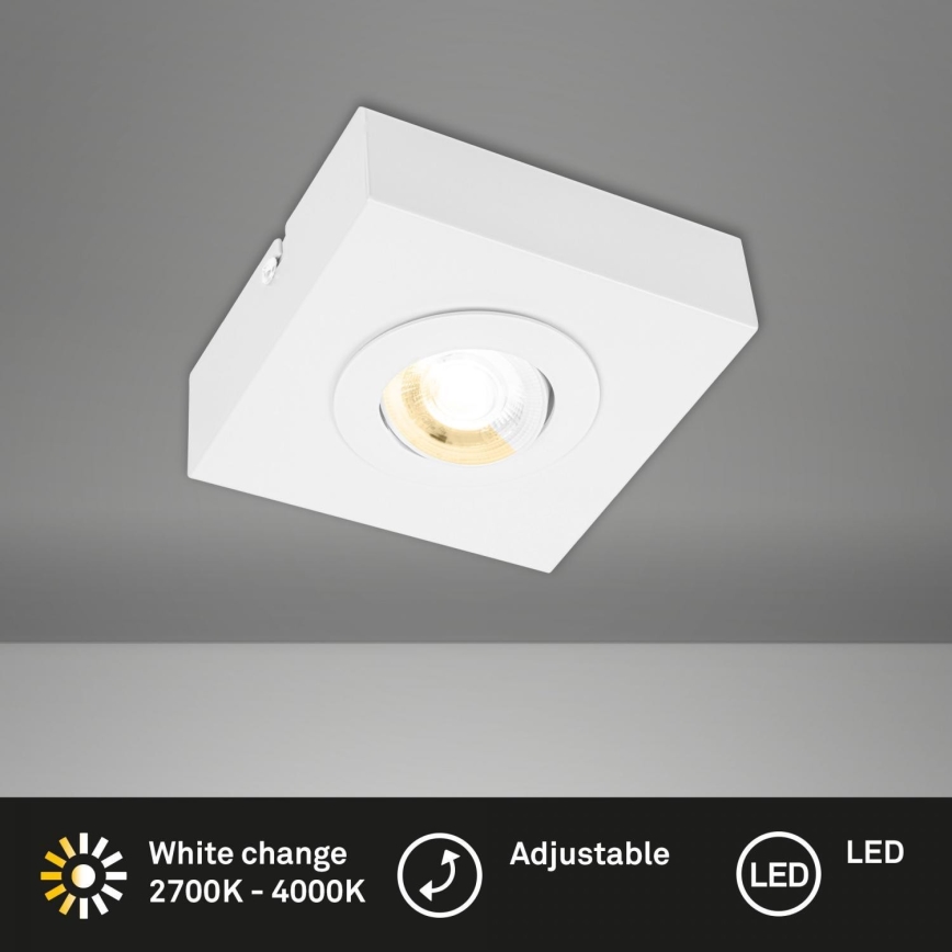 Briloner 3996016 - LED-kohdevalaisin CTS LED/4W/230V 2700/4000K valkoinen