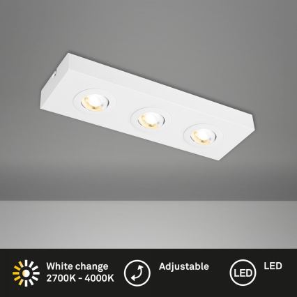 Briloner 3996036 - LED-kohdevalaisin CTS 3xLED/4W/230V 2700/4000K valkoinen
