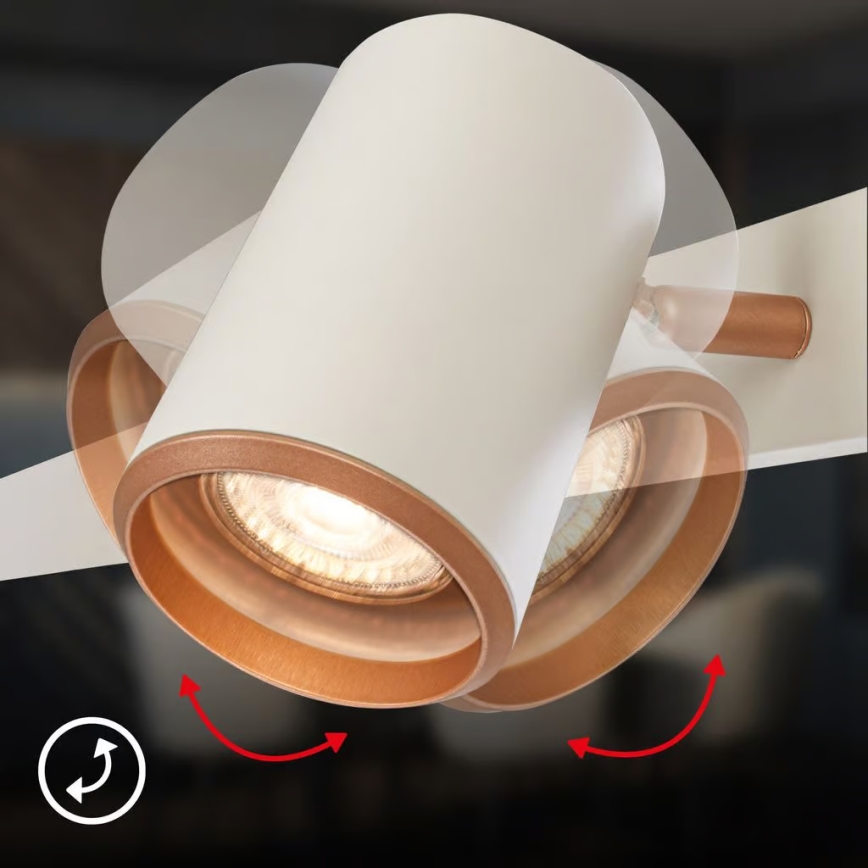 Briloner 4058044 - riippuvalaisin vaijerilla ERA 4xGU10/10W/230V kermanvärinen