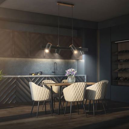 Briloner 4059045 - Riippuvalaisin vaijerilla ERA 4xGU10/10W/230V musta