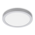 Briloner 7132-414 - LED-kattovalaisin kylpyhuoneeseen FIRE LED/21W/230V 4000K IP44