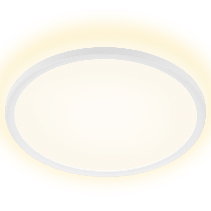 Briloner 7157-416 - LED-kattovalaisin SLIM LED/22W/230V halkaisija 42 cm