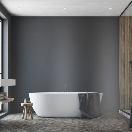 Briloner 7286-016 - LED Kylpyhuoneen upotettava valo LED/12W/230V IP44