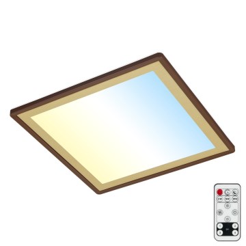 Briloner 7459-417 - DECO LED himmennettävä kattovalaisin LED/24W/230V 2700-6500K + kaukosäädin
