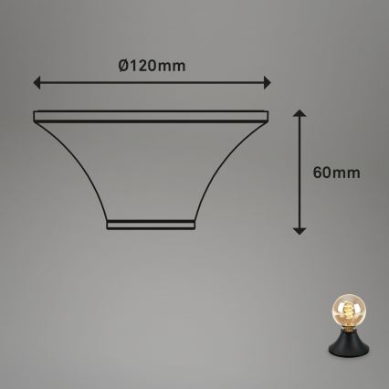 Briloner - Kylpyhuoneen kattovalaisin 1xE27/10W/230V IP44 musta