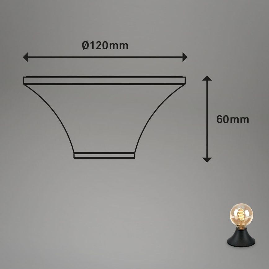 Briloner - Kylpyhuoneen kattovalaisin 1xE27/10W/230V IP44 musta