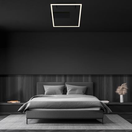 Briloner - LED-kattovalaisin FRAME LED/14W/230V 3000K 30x32 cm musta